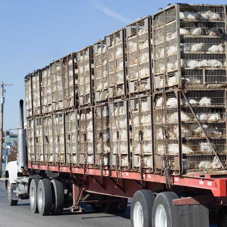 Supply chain issues hampering ag on the farm and on the road